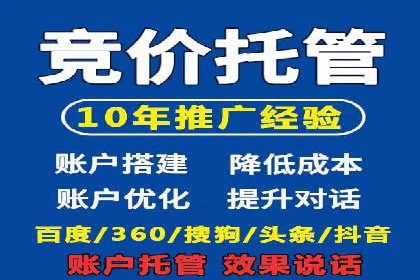 某电商平台的sem竞价推广托管经验
